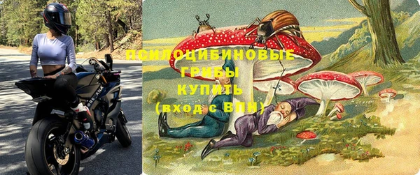 герыч Бронницы